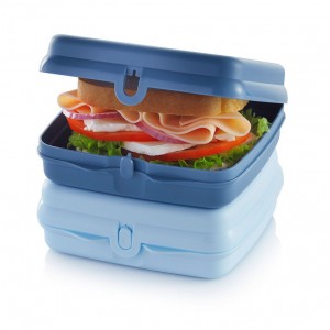 Tupperware Eco+ Sandwich Keepers White / Blue Lunch and Snacks | 83679-TYQB