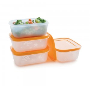 Tupperware Freezer Mates Plus Small Shallows Freezer Storage | 86402-IPCH