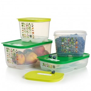 Tupperware Fridgesmart 4-pc. Starter Set Green / Deep Refrigerator Storage | 80156-WYFS