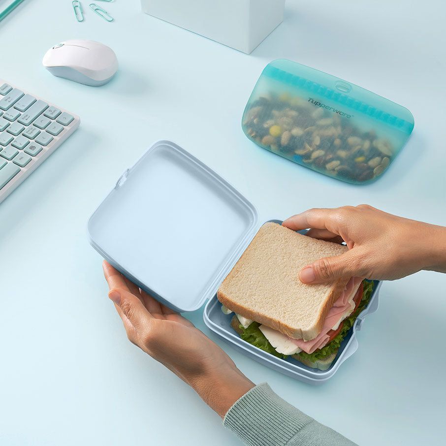 Tupperware Eco+ Sandwich Keepers White / Blue Lunch and Snacks | 83679-TYQB