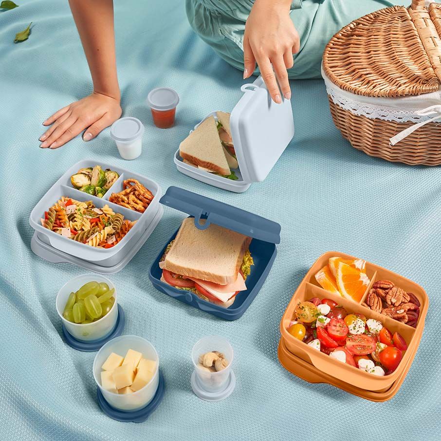 Tupperware Eco+ Sandwich Keepers White / Blue Lunch and Snacks | 83679-TYQB