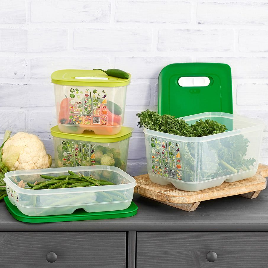 Tupperware Fridgesmart 4-pc. Starter Set Green / Deep Refrigerator Storage | 80156-WYFS