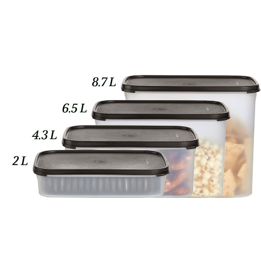 Tupperware Modular Mates Rectangular 2 Dry Storage | 91532-HEIP