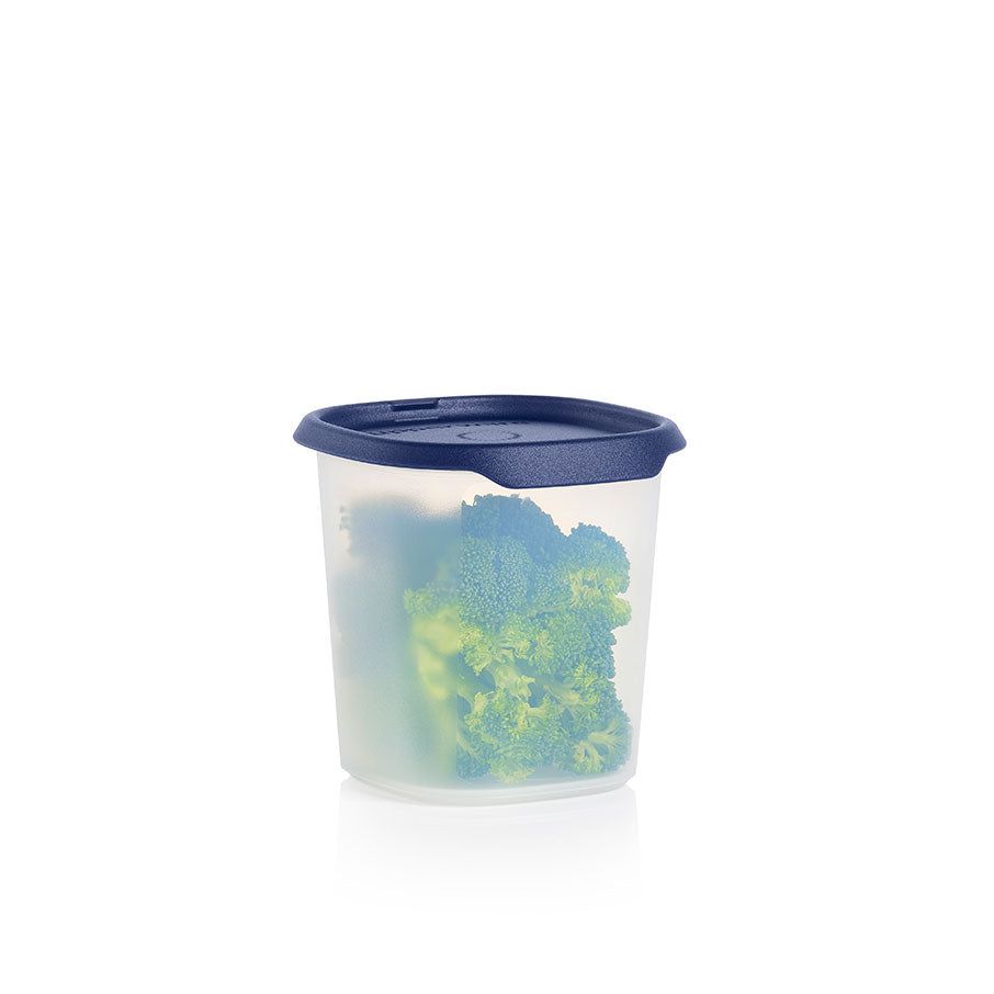 Tupperware One Touch Fresh Small Square 3 1/4-cup/ 810 Ml Nocturnal Sea Refrigerator Storage | 73256-TVHL