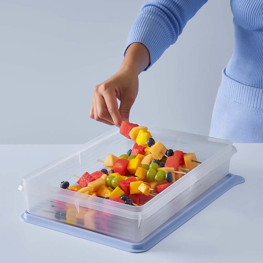 Tupperware Snack-stor Large Container Ice Cube Refrigerator Storage | 48356-HTLW