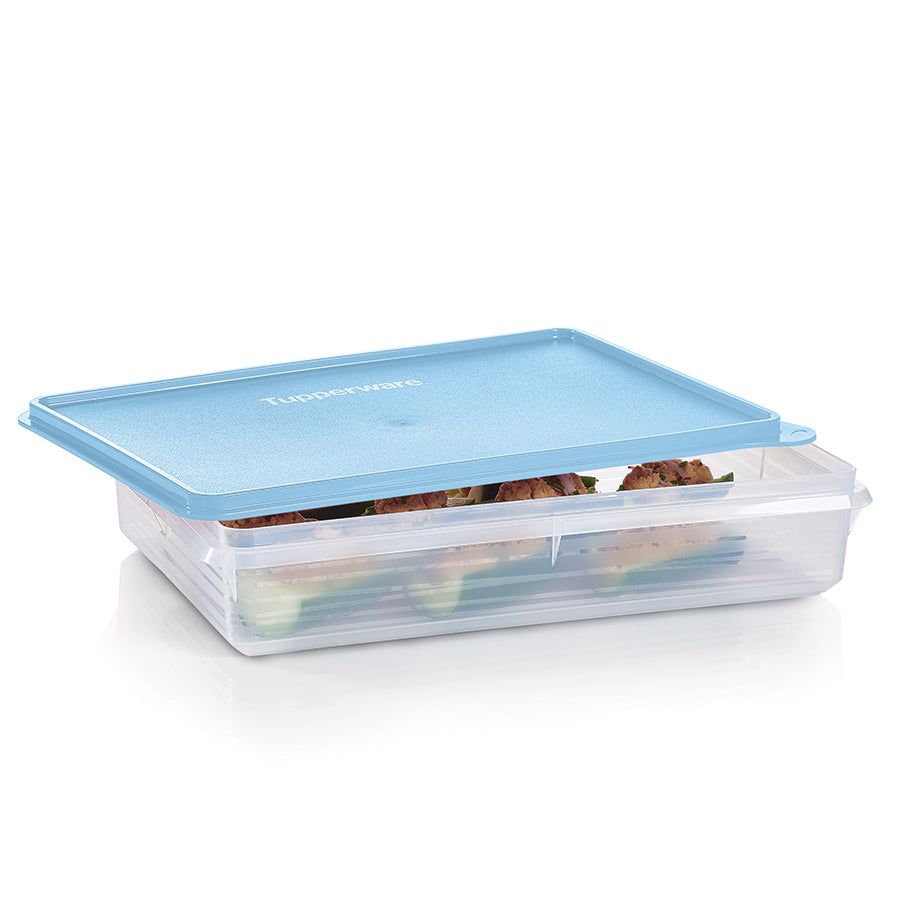 Tupperware Snack-stor Large Container Ice Cube Refrigerator Storage | 48356-HTLW