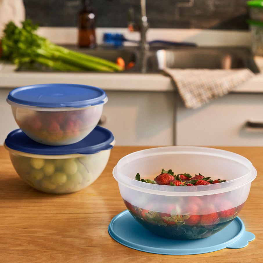 Tupperware Wonderlier Bowl 3-pc. Set sIce Cube Baking | 20357-AHJW